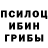 Первитин витя Elwood Bergman