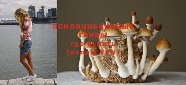 ПСИЛОЦИБИНОВЫЕ ГРИБЫ Белоозёрский