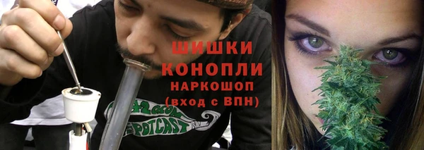 дживик Белокуриха