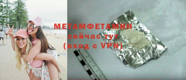 гидра Богданович