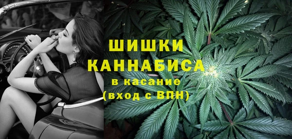 прущие грибы Богородицк