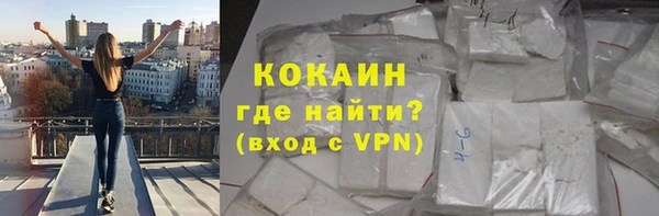 гидра Богданович