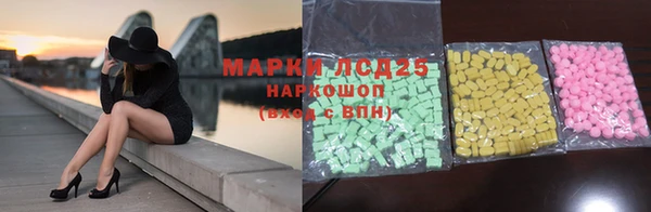 гидра Богданович