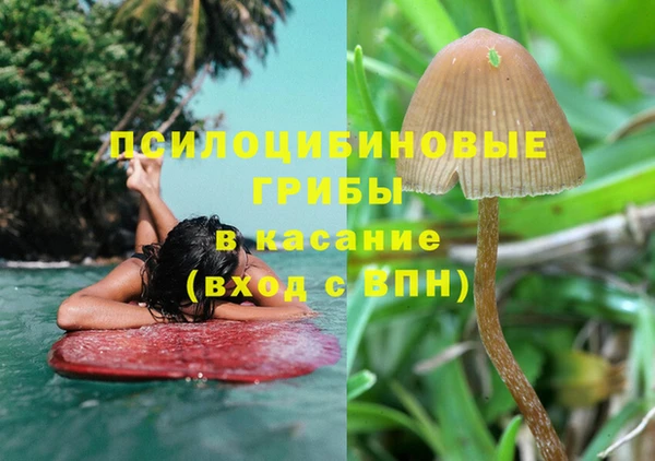 гидра Богданович