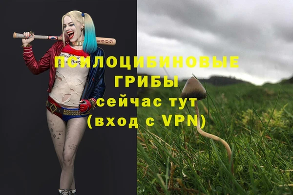 гашишное масло Беломорск