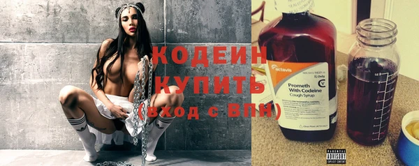 дживик Белокуриха