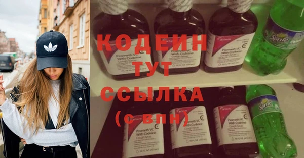 прущие грибы Богородицк