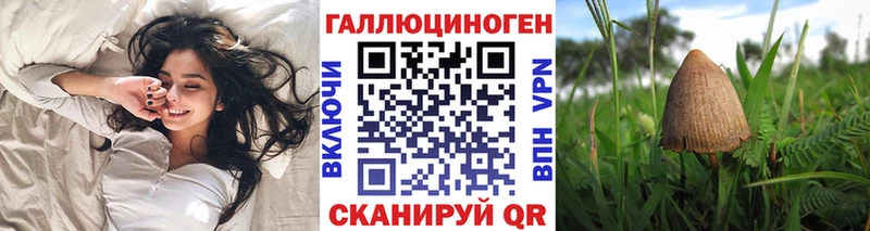 дарк нет официальный сайт Костерёво Псилоцибиновые грибы Psilocybe магазин продажи